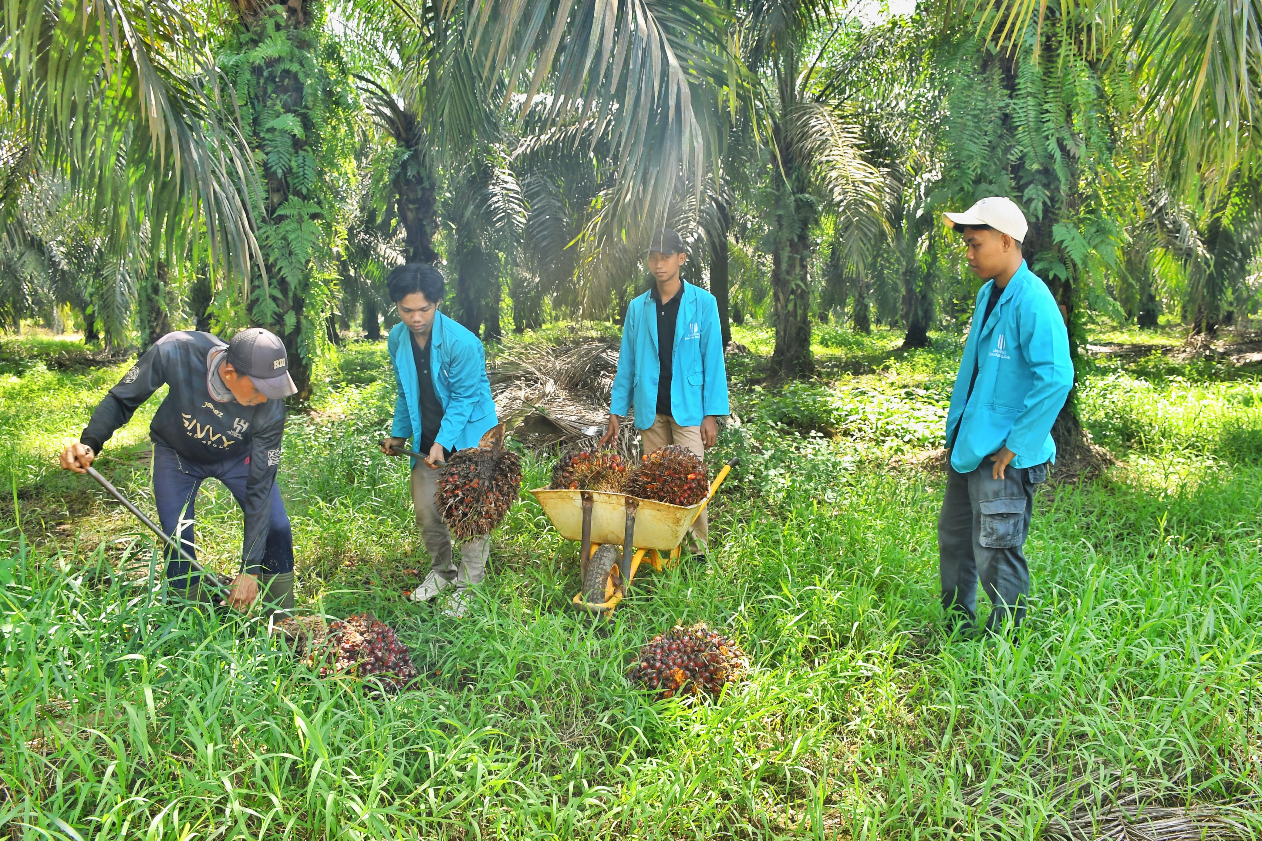 Laboratorium Agribisnis 10