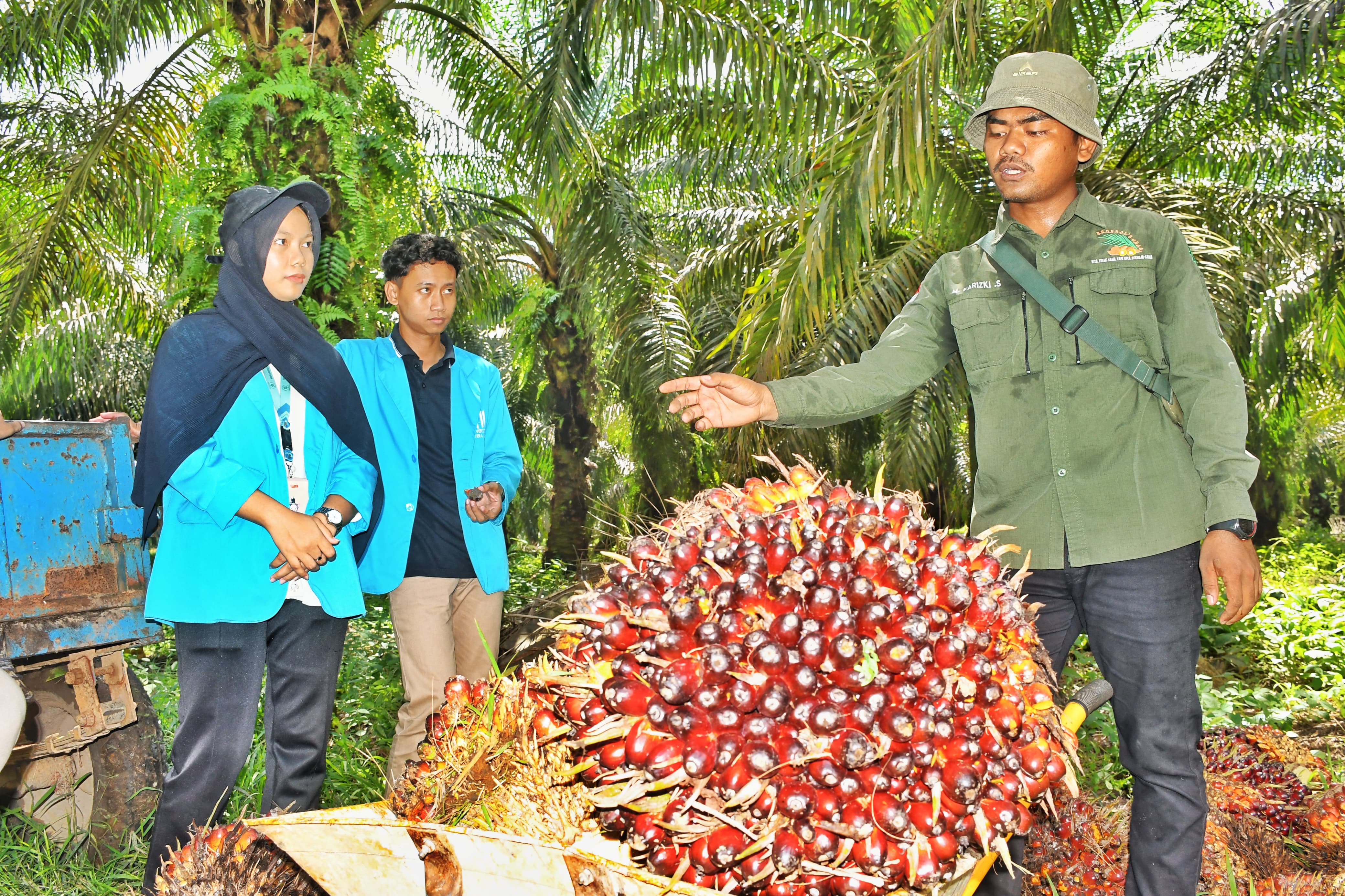 Laboratorium Agribisnis 11